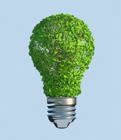 A graphic depicting a sculpted bush in the shape of a light bulb suspended on a clear sky-blue background.