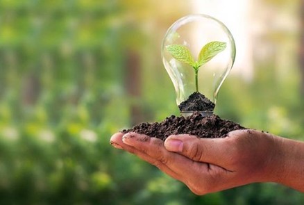 A picture of a hand holding a glass bulb with a plant inside while planted in soil with an out of focus background of a green forest.